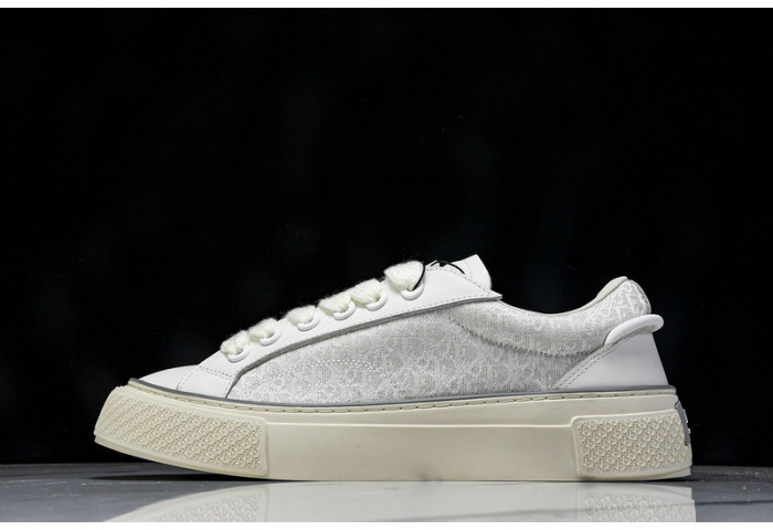 Dior B33 SNEAKER (EU38-46)