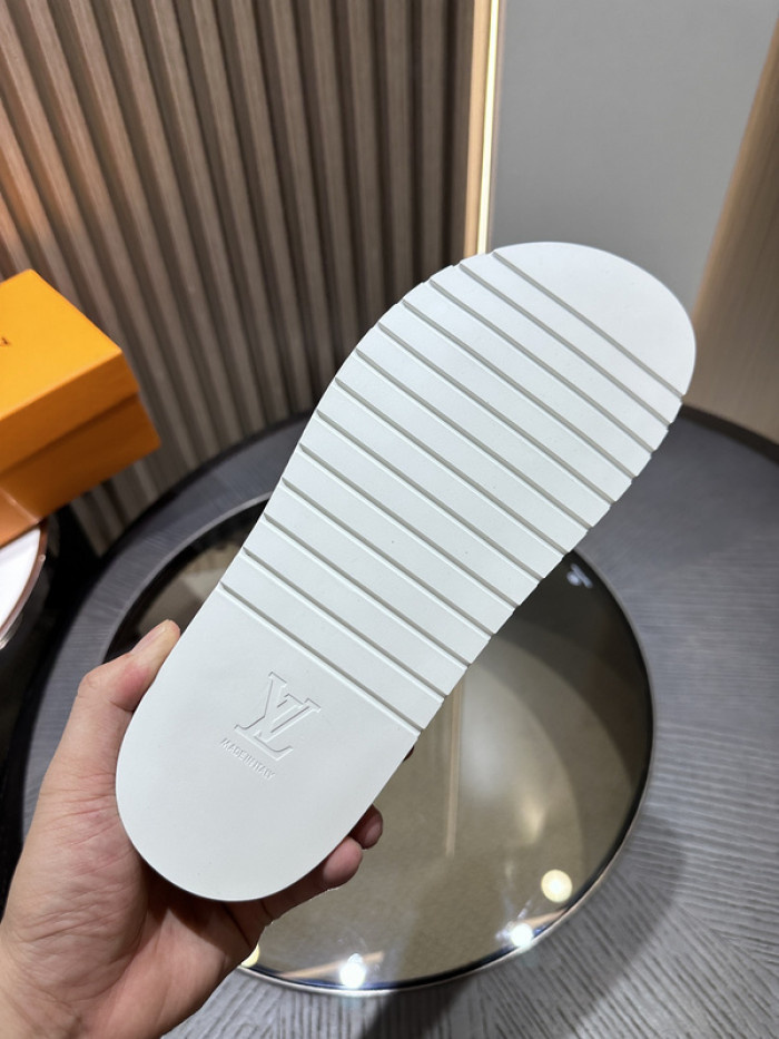 lv slides